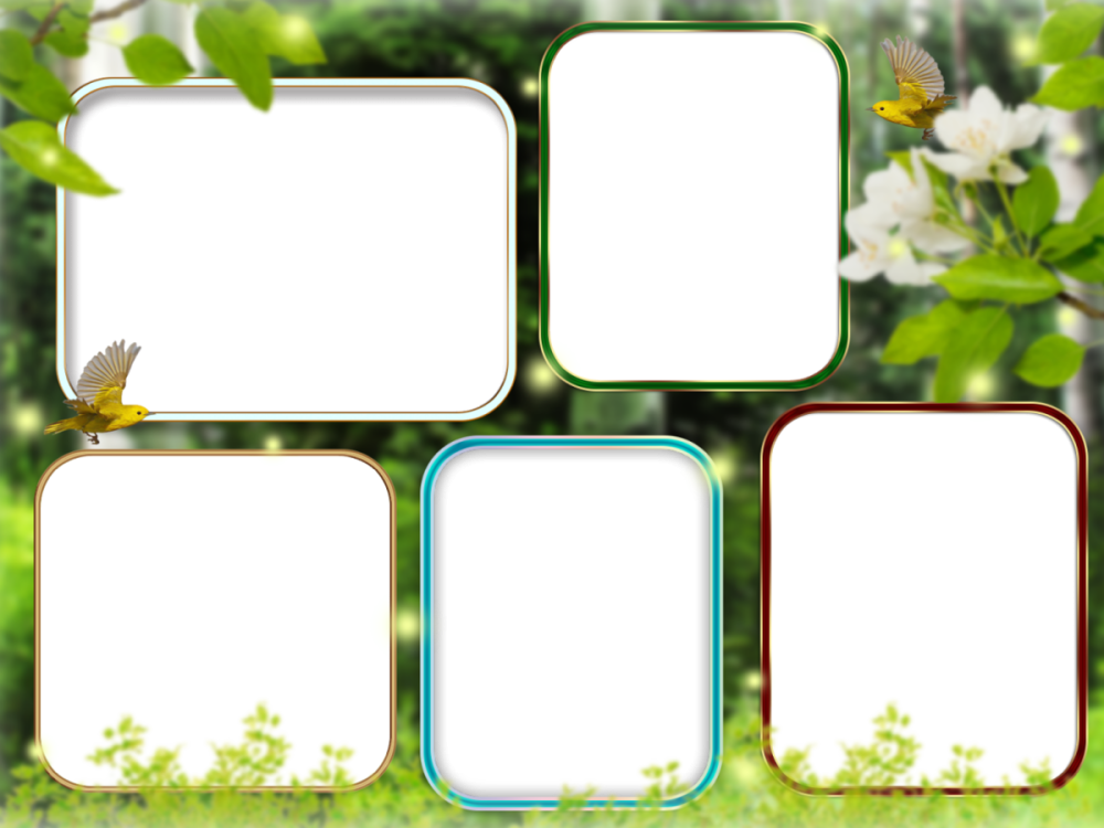 Рамка для коллажа