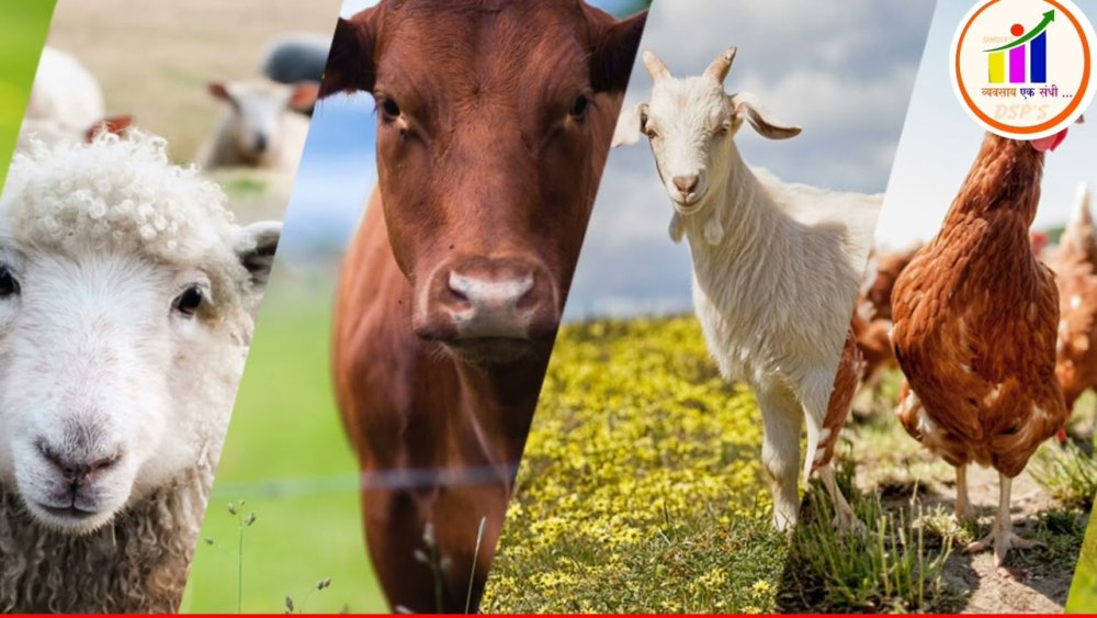 Сельскохозяйственные животные