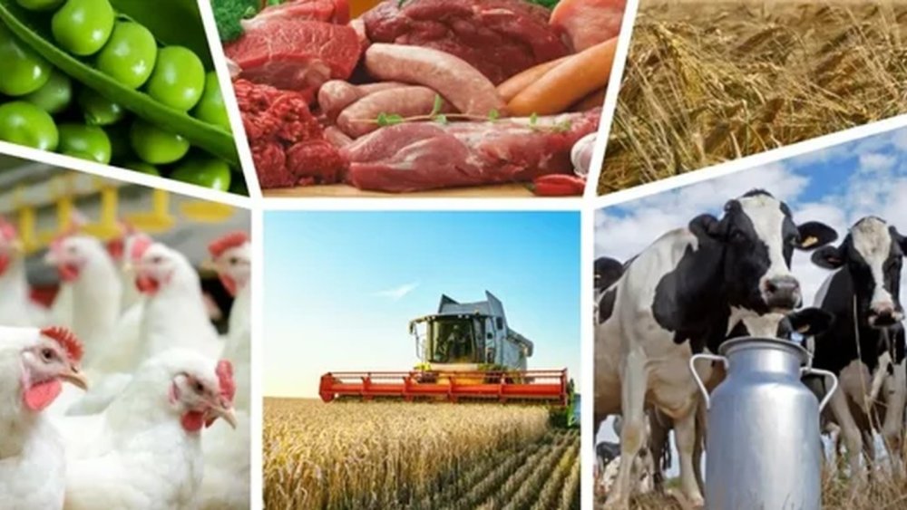 Сельское хозяйство и перерабатывающая промышленность