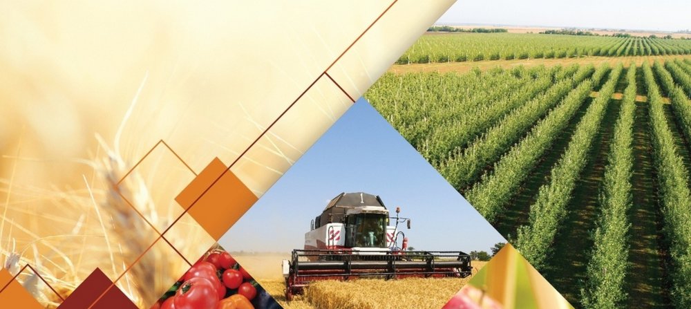 Сельское хозяйство коллаж