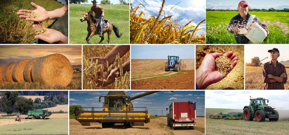 Сельское хозяйство Белоруссии