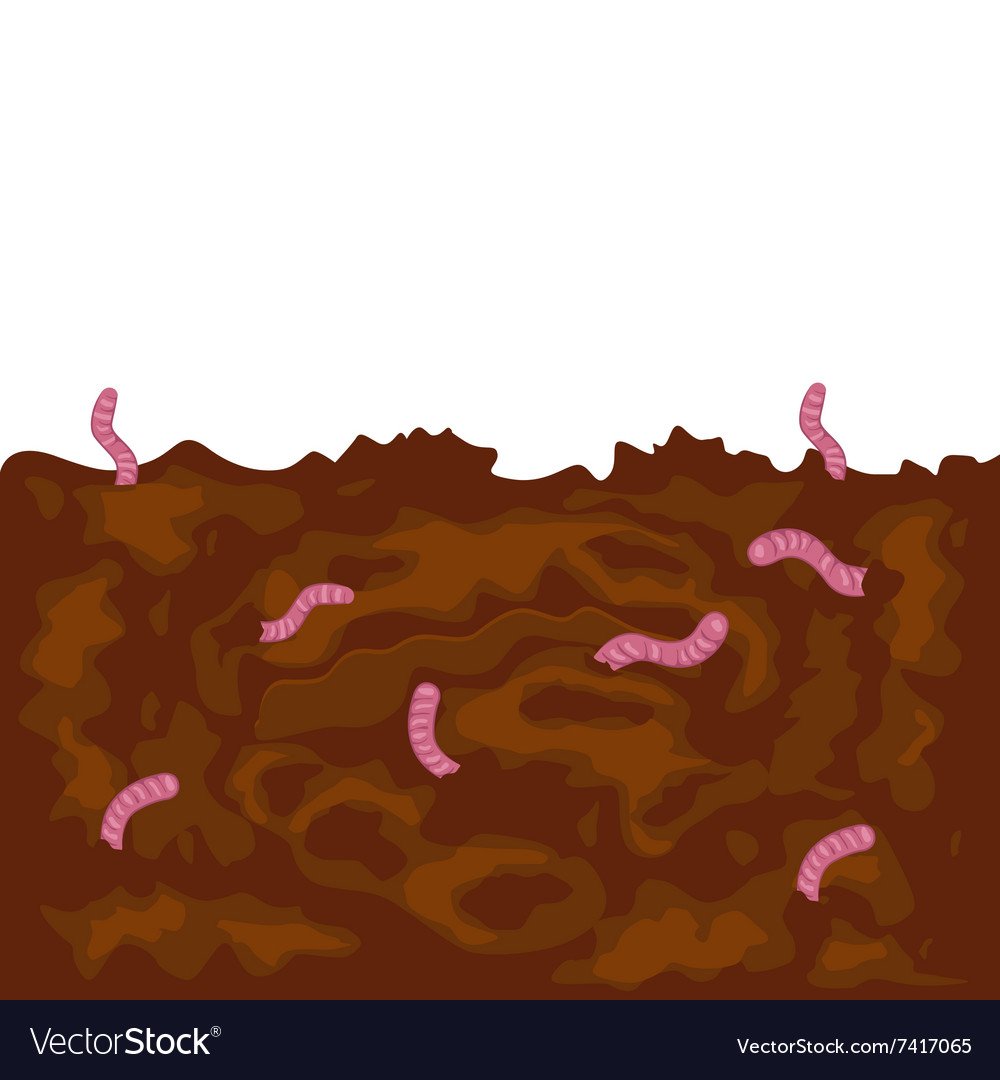 Черви в почве рисунок