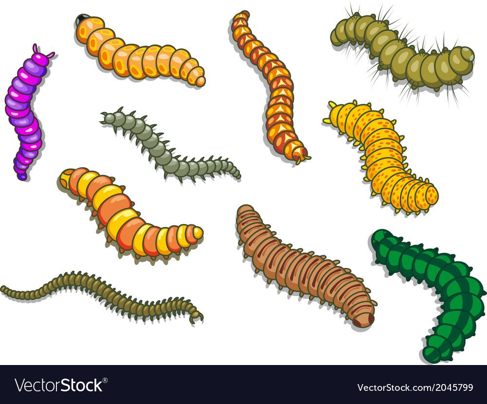Червячки для детей цветные