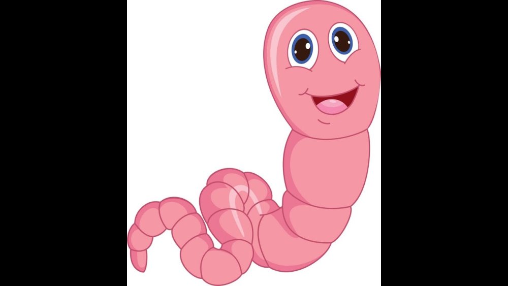 Отрисовки червяк