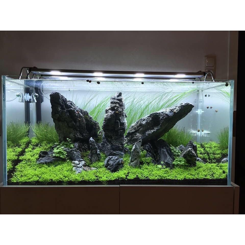 Акваскейп 4к