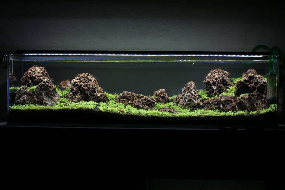 Ивагуми лава