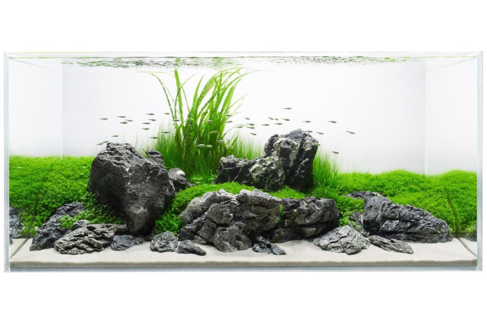 Акваскейп 120л