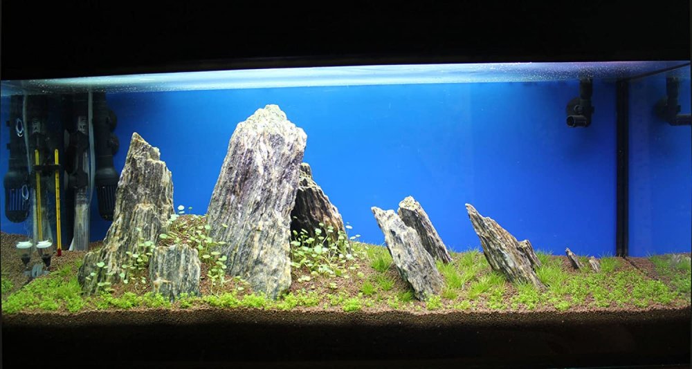 Аквариум в стиле Ивагуми