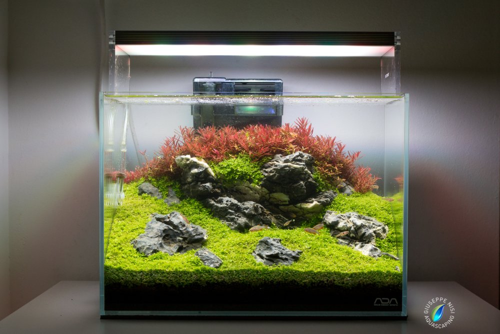 Хрупкое аквариум