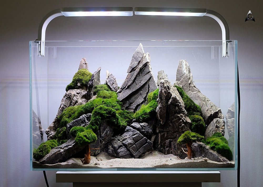 Ивагуми Амано