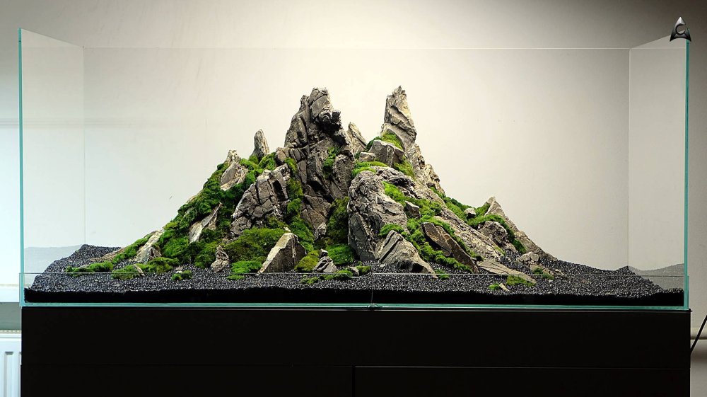 Хардскейп Ивагуми