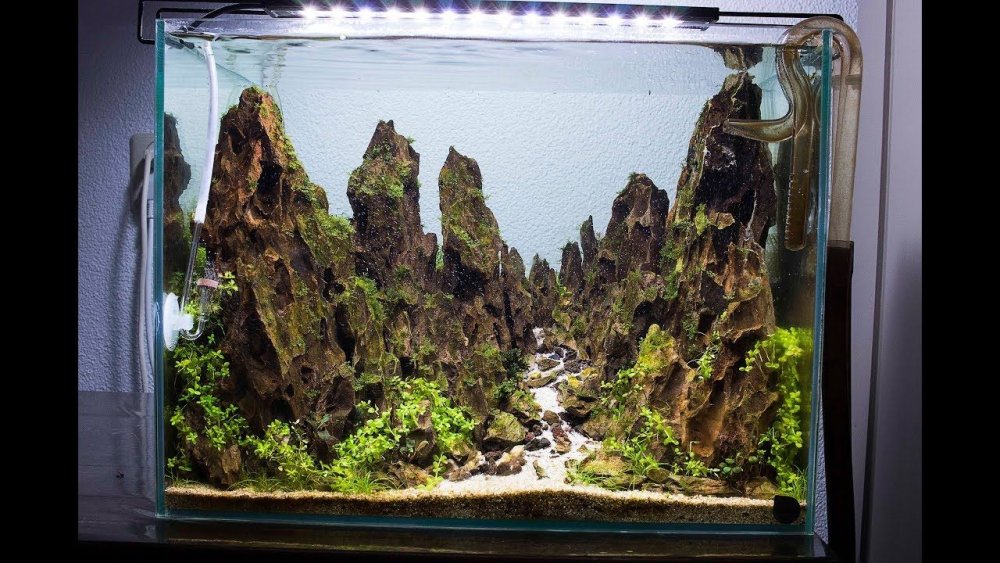 Акваскейпинг Амано