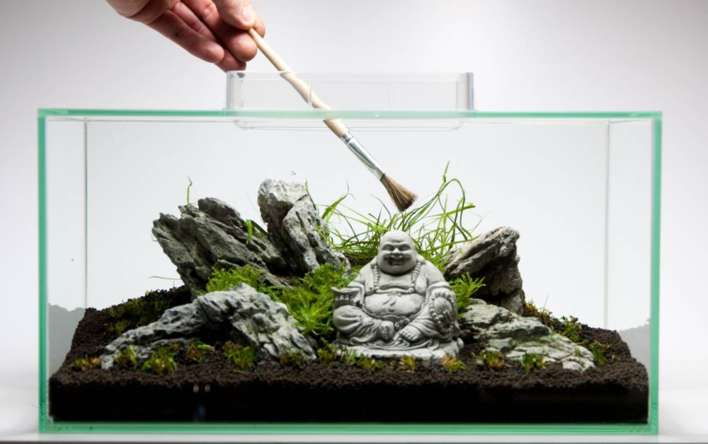 Ивагуми Такаши Амано