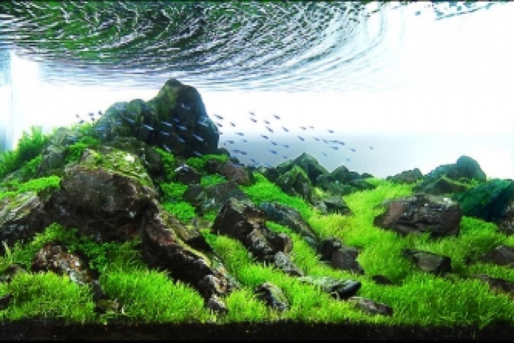 Акваскейп 60 литров