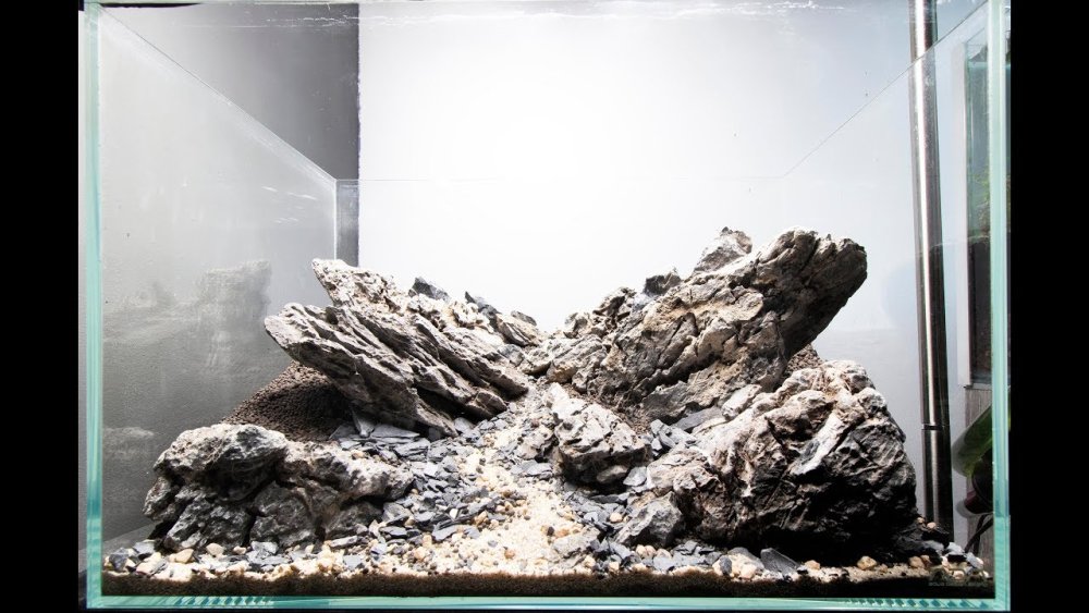 Аквариум в стиле Риобоку