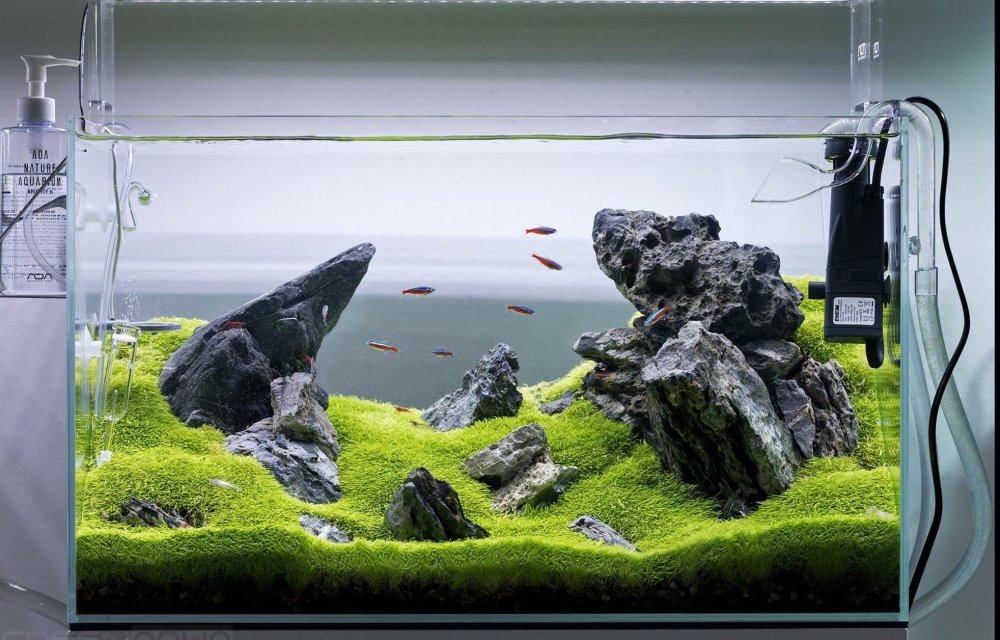 Аквариум дизайн плинтус 18см