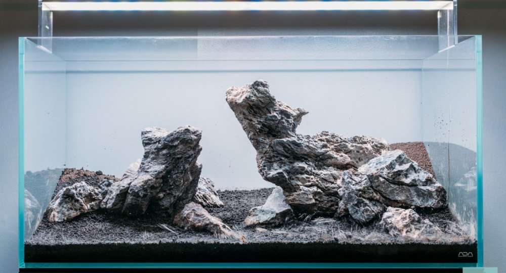 Акваскейпинг Амано