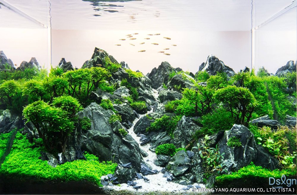 Акваскейп Леший