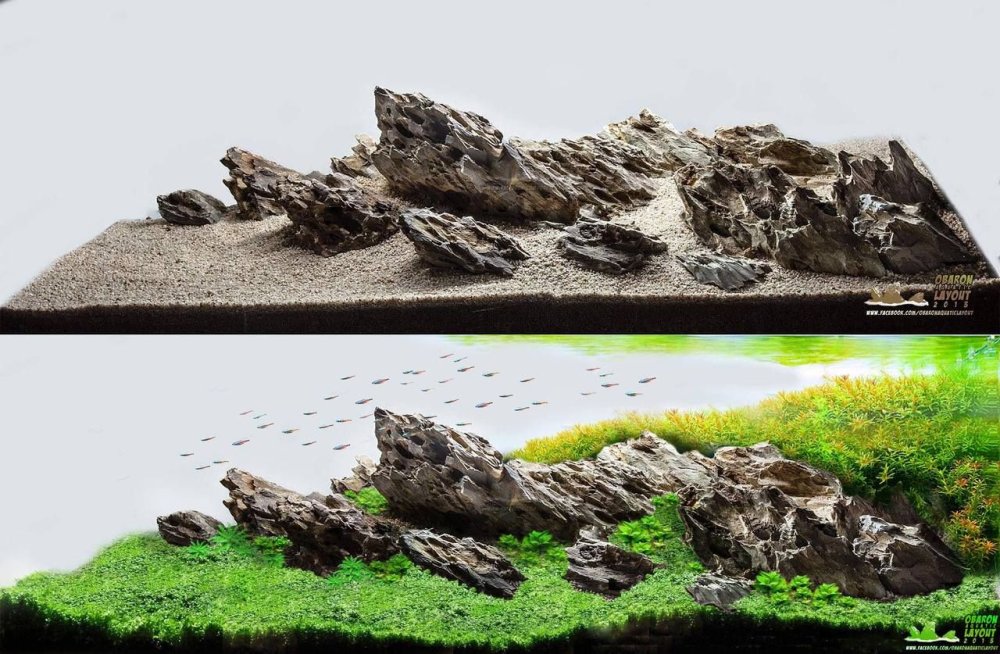 Аквариум акваскейп Ивагуми