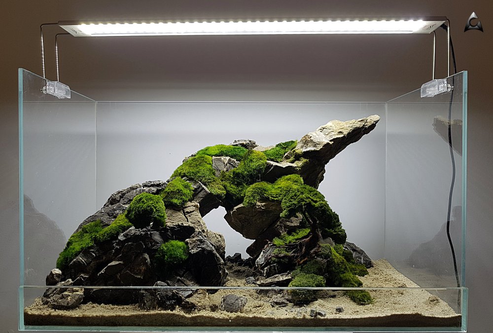 Хардскейп Ивагуми