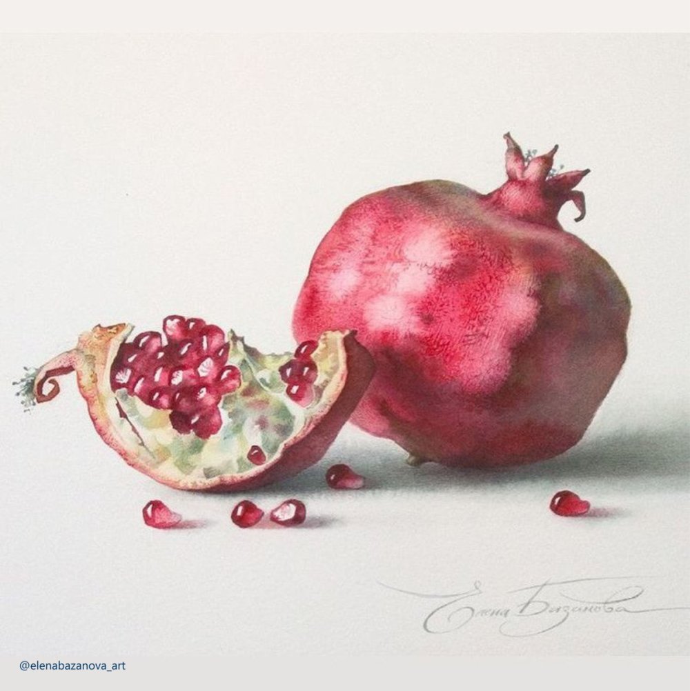 Елена Базанова акварель гранат