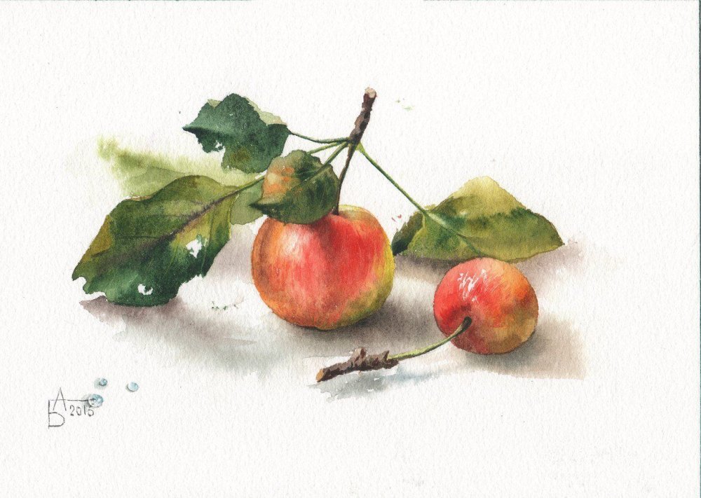 Анастасия Беседина акварель фрукты