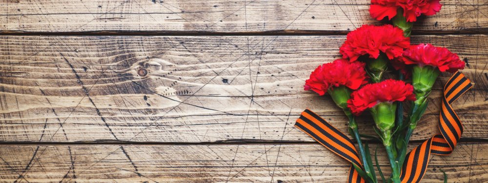 Гвоздика 9 мая