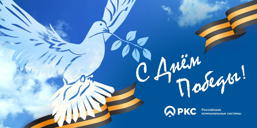 День Победы голубь мира