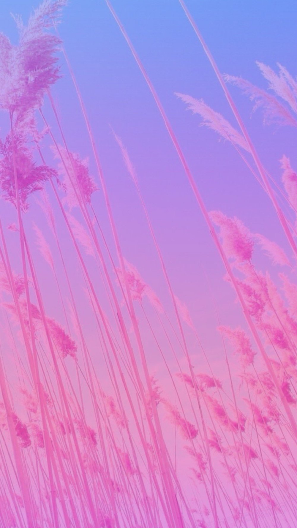 Эстетика розового