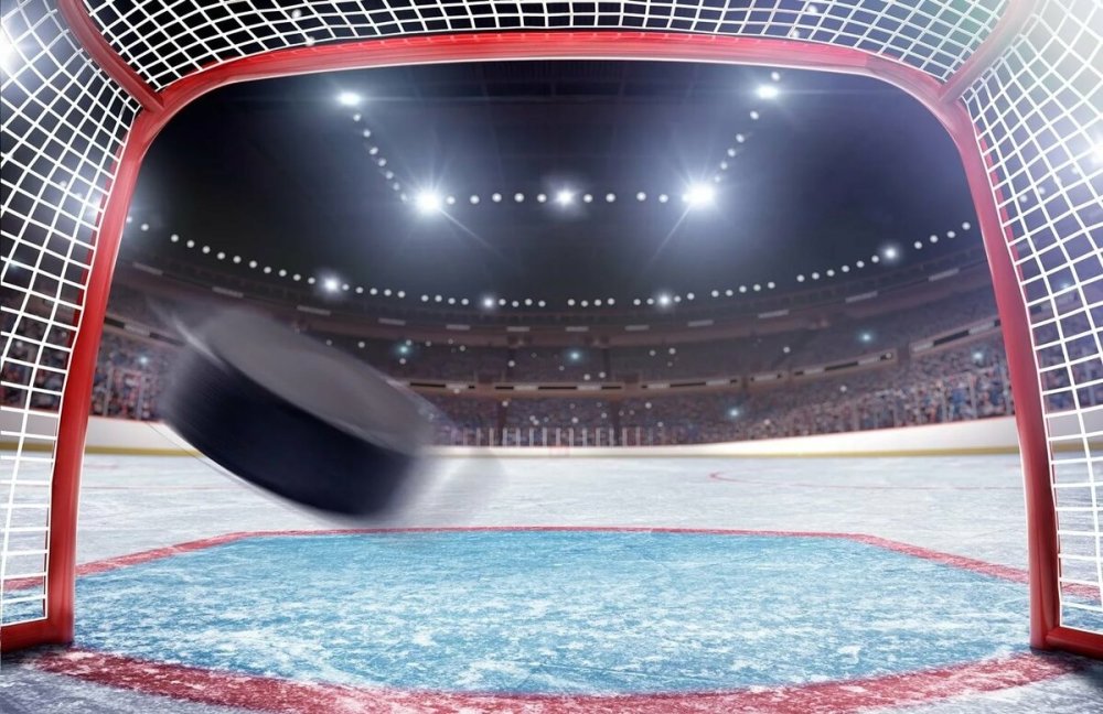 Шайба в ворота