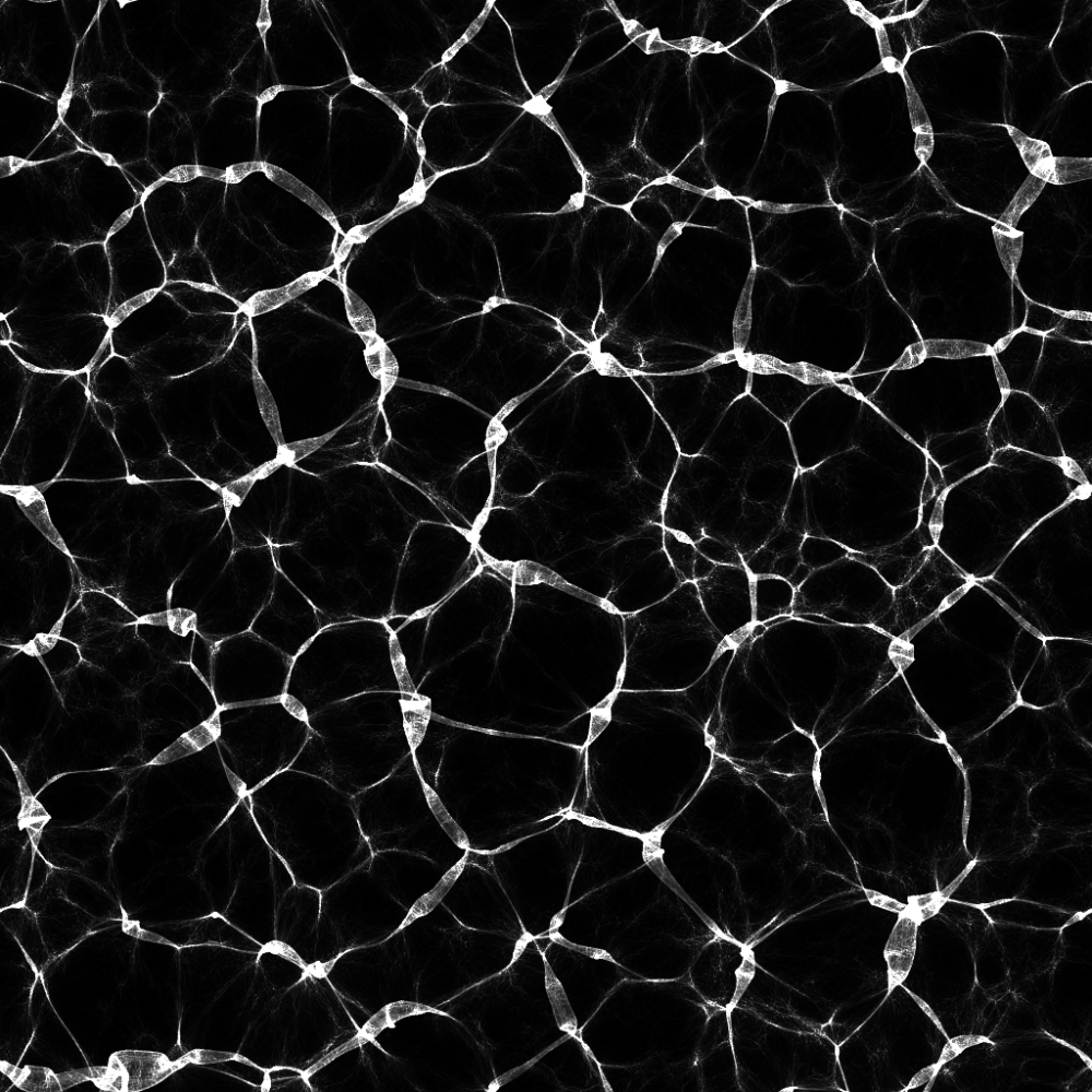 Соты текстура