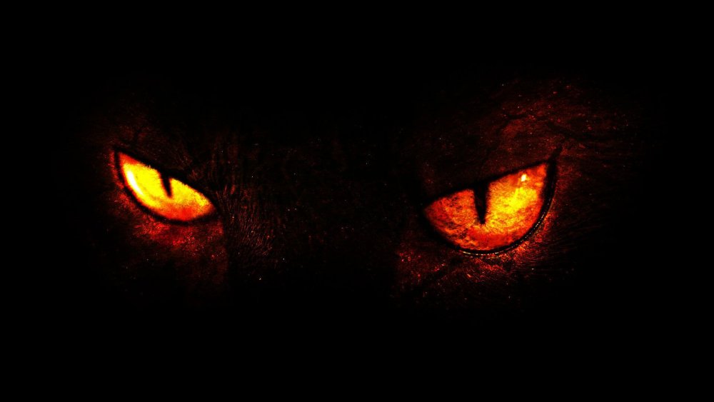 Горящие глаза в темноте