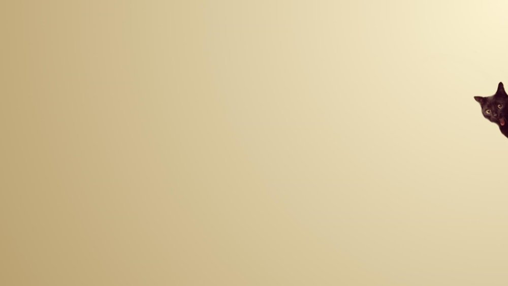 Однотонные обои