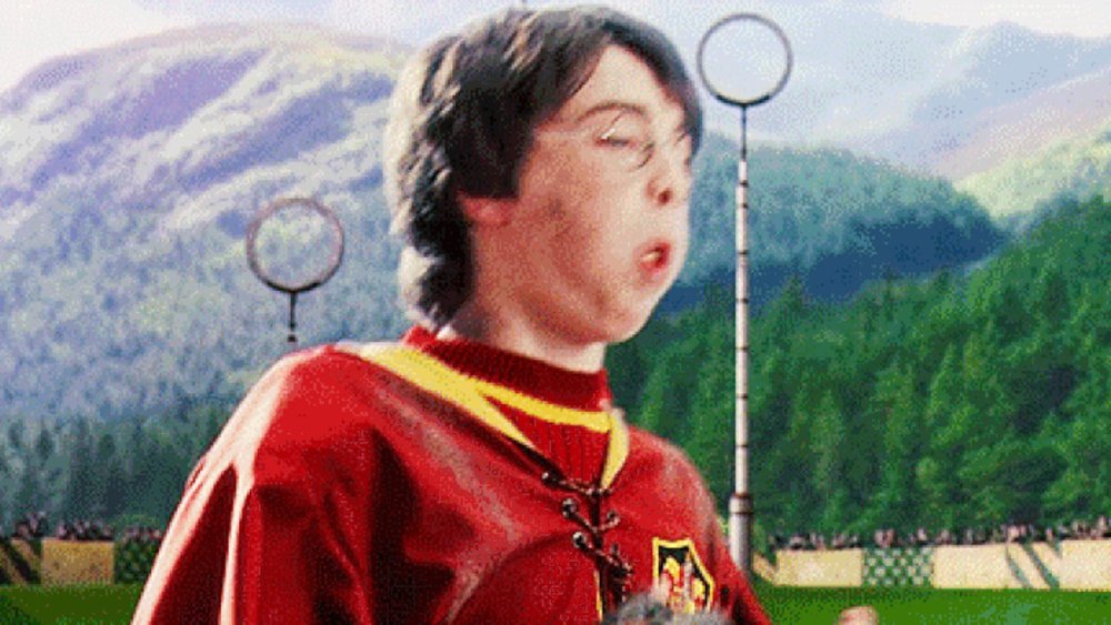 Гарри Поттер игра в снитч