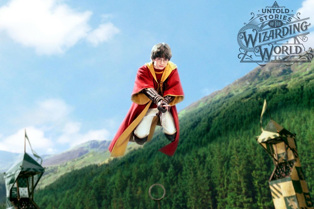 Квиддич Гарри Поттер