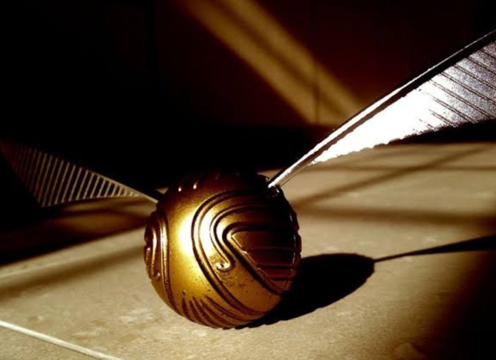 Квиддич Гарри Поттер снитч