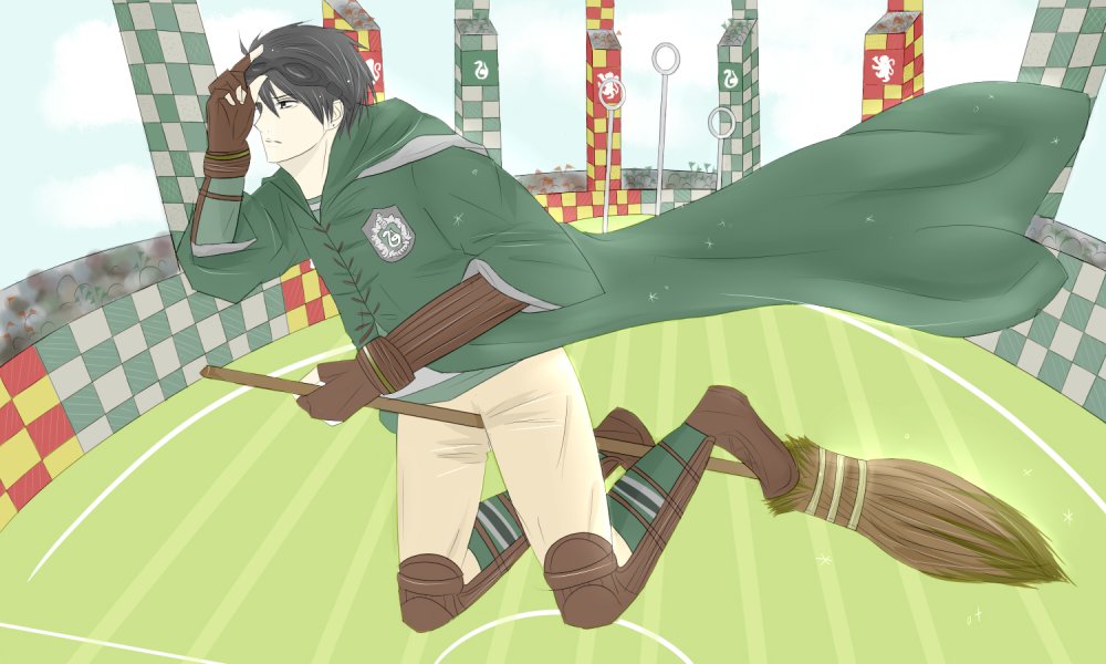 Регулус Блэк квиддич