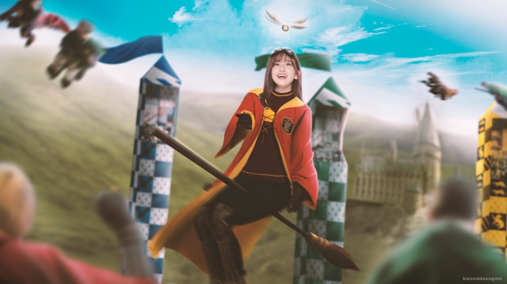 Гарри Поттер и орден Феникса квиддич