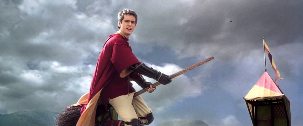 Квиддич вратарь