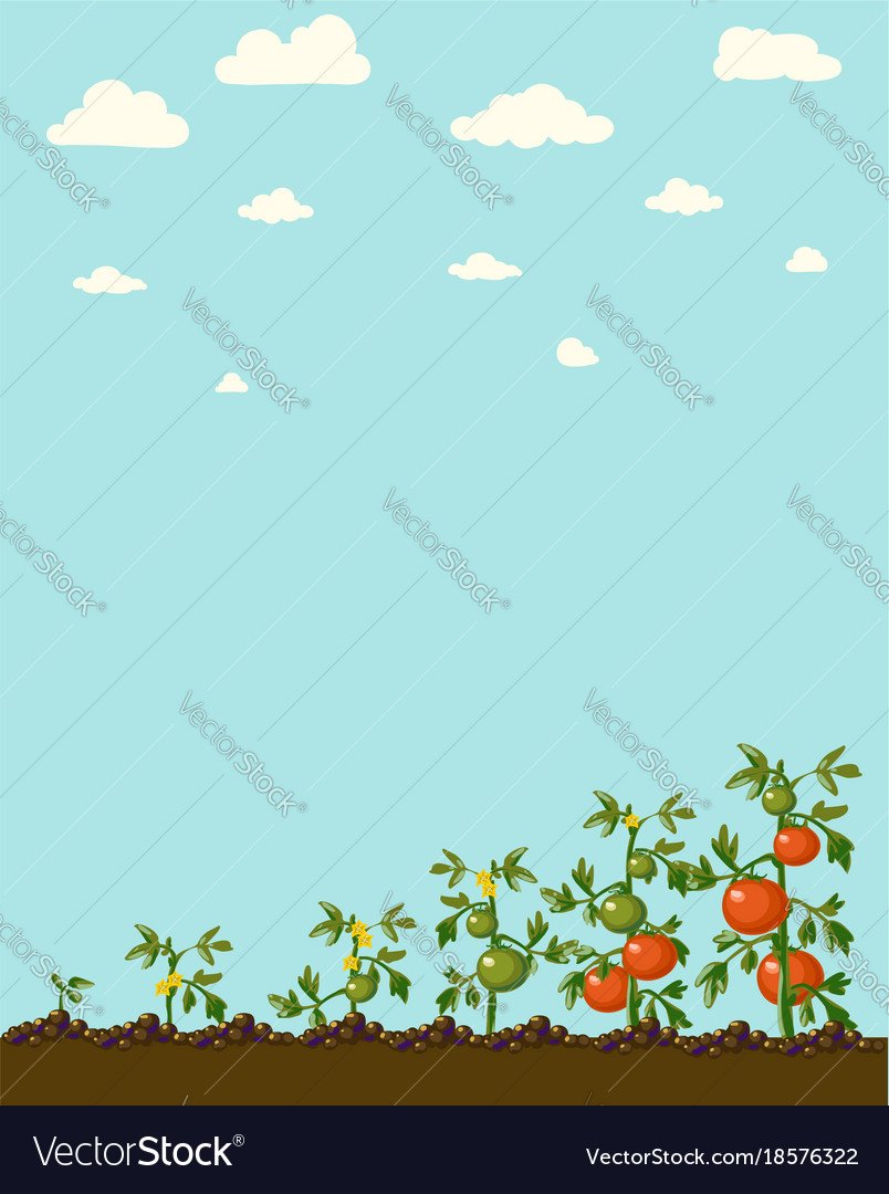 Фон огорода для фотошопа