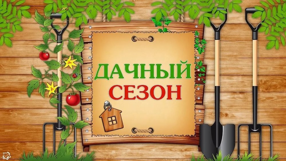 С началом дачного сезона