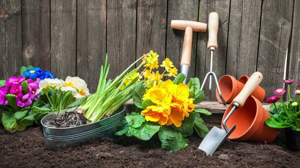 Баннер сад огород