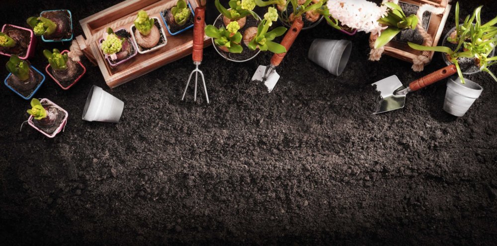 Gardening Tools HD Wallpapers