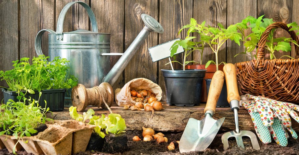 Продукция для дачников