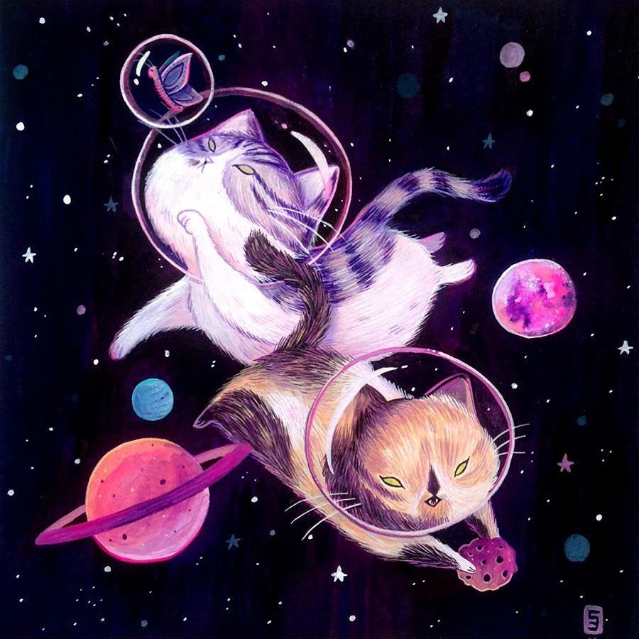 Космические коты