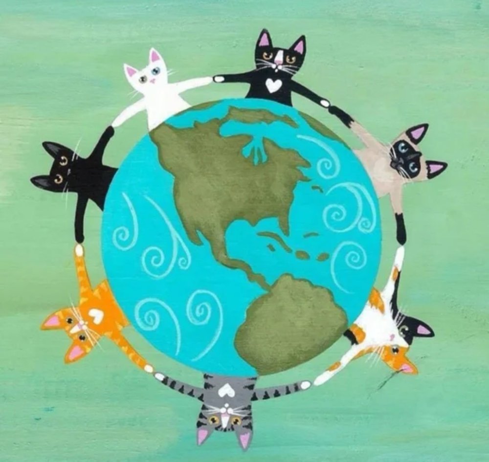 Котики за мир