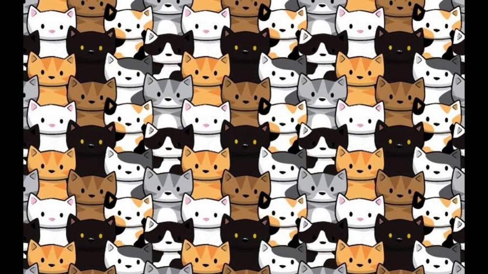 Принт кошки