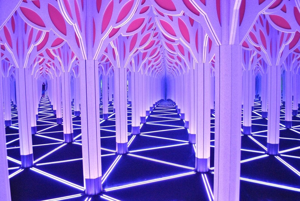 Зеркальный Лабиринт в Санкт-Петербурге