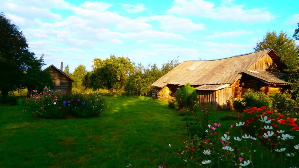 Деревенский дворик