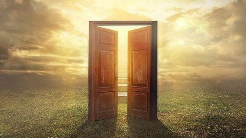 Двери в интерьере